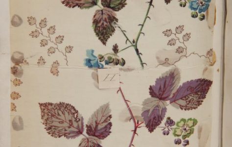 Designs from the Swaisland factory, 1847-1858