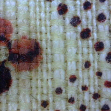 B02a-Crayford_Valencia-micrograph B2a. Crayford Valencia Micrograph